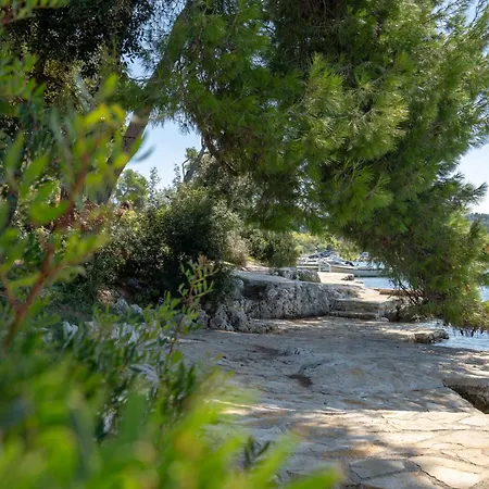 At Vintiana بولا