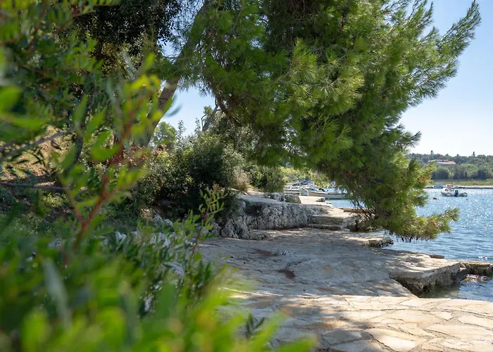 At Vintiana بولا