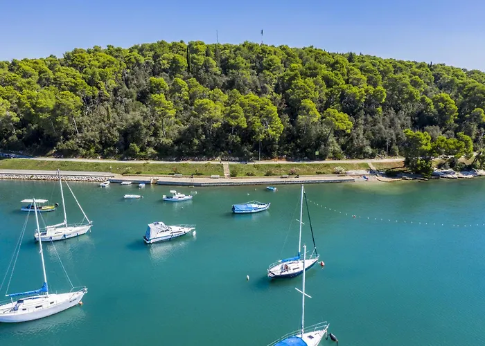 Апартаменти At Vintiana *